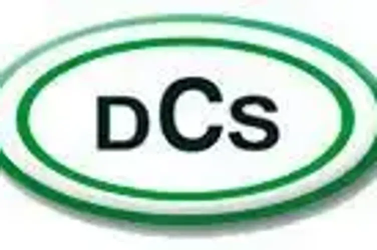 DCS Touristik GmbH.webp