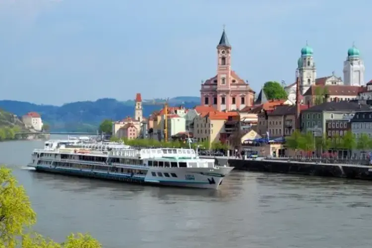 fluss7.webp