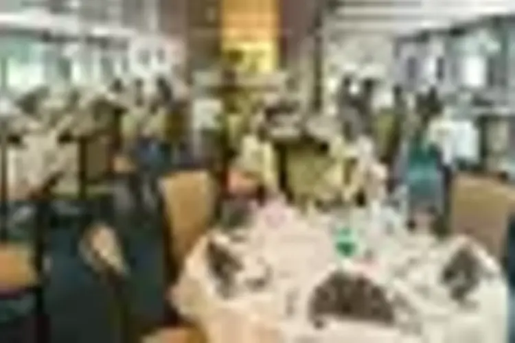 206685.webp