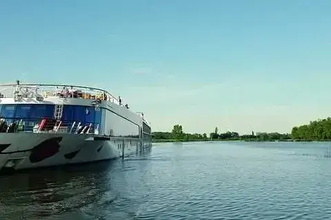 a-rosasilvaklein-345771.webp
