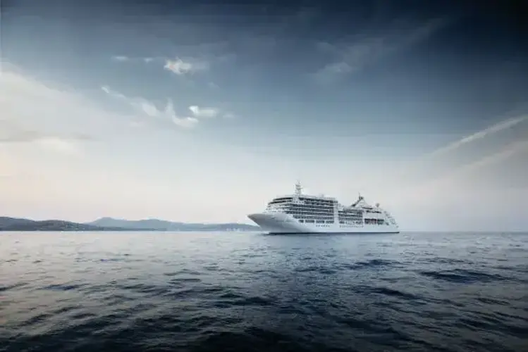 silver spirit1.webp
