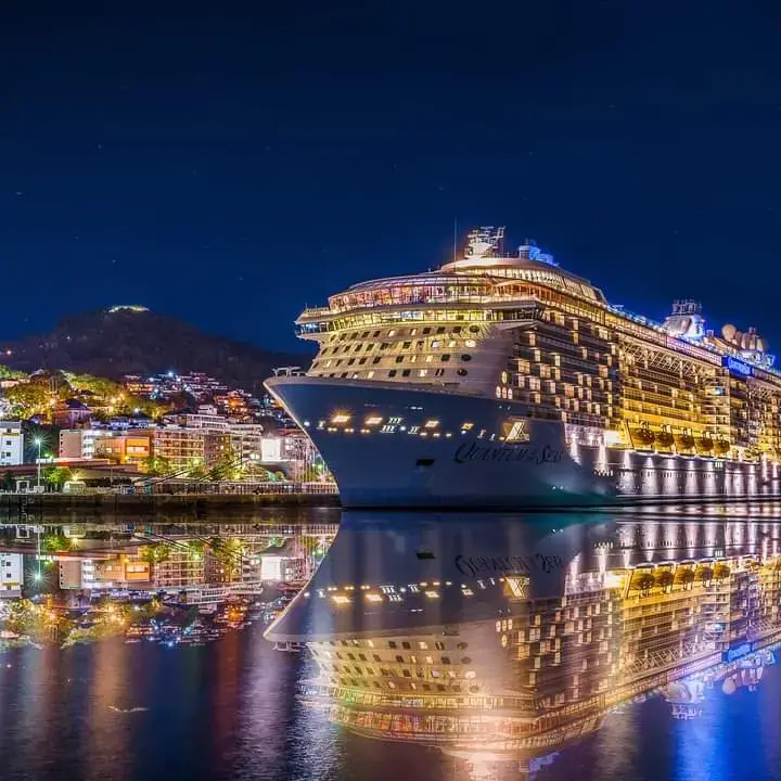 RCCL: остановка навигации до 30.04.2021