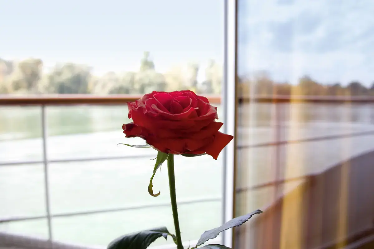 Речные круизы с A-rosa Cruises