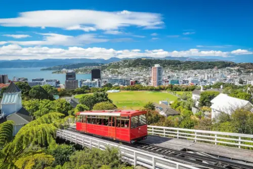 Wellington / New Zealand