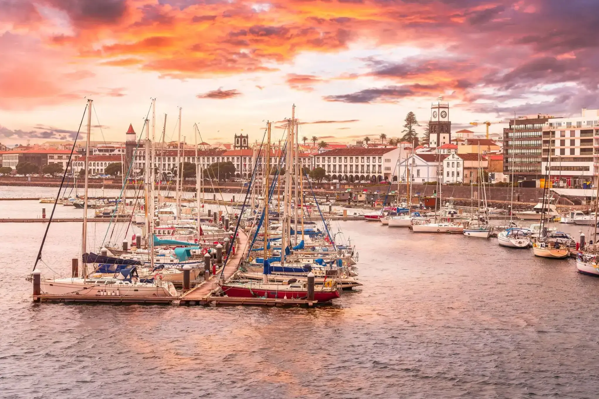 560_Ponta Delgada, San Miguel.webp