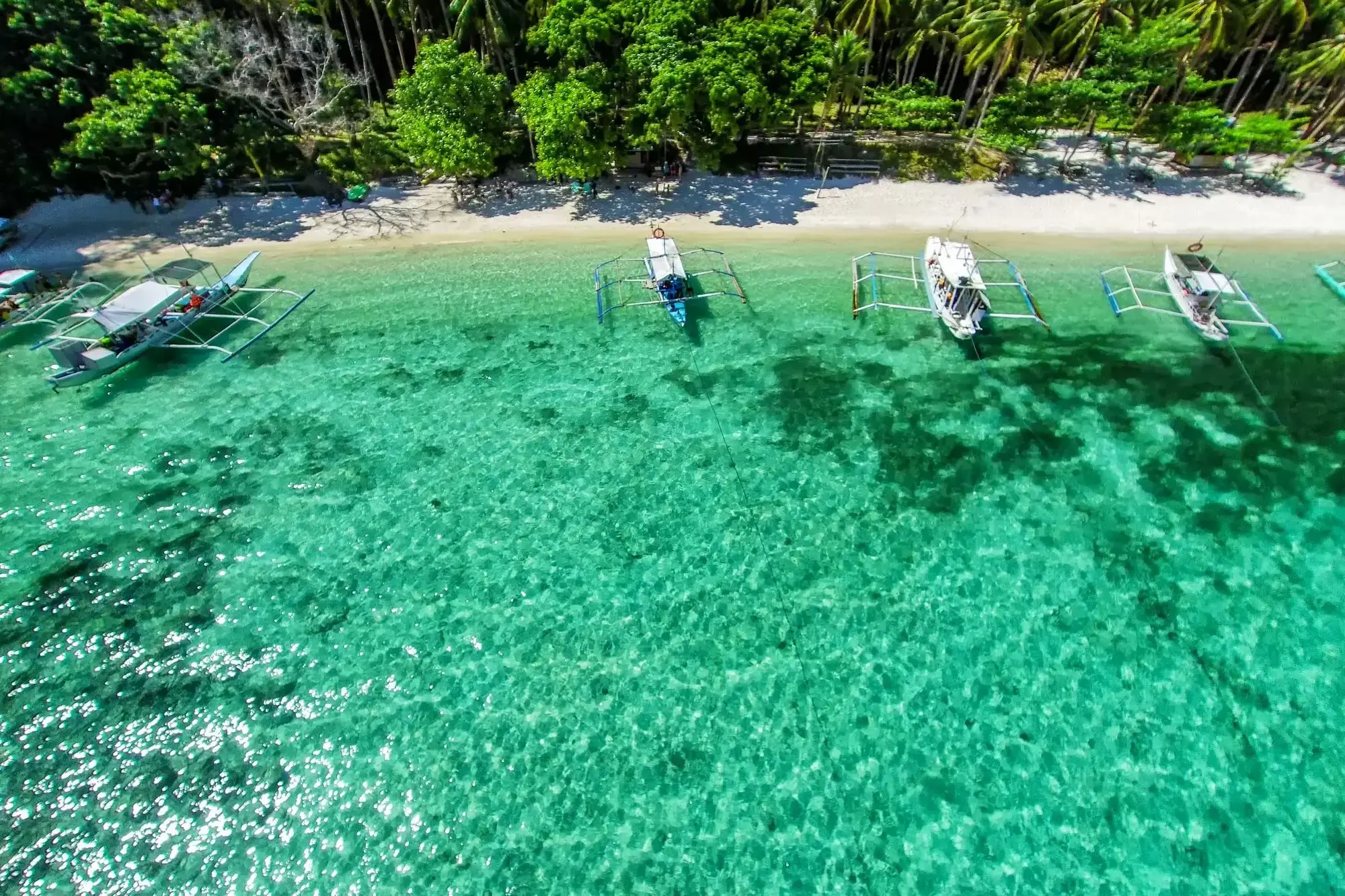 37757_Puerto Princesa.webp