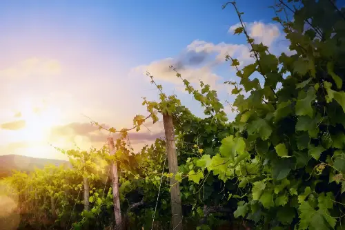 Иден Вэлли / Австралия