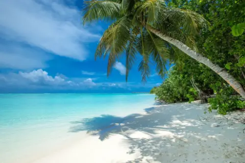 Чефе Помене / Мозамбик