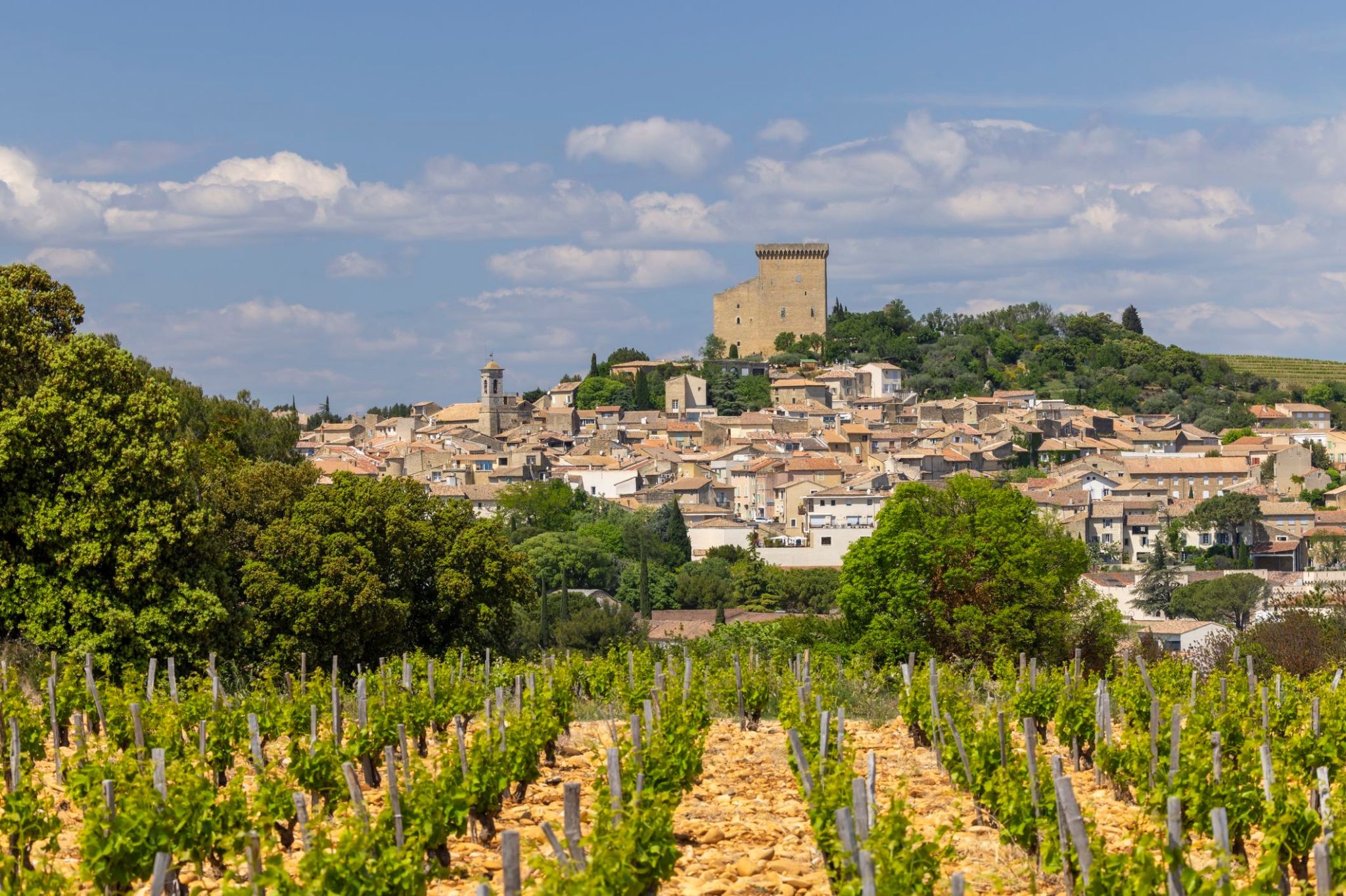 2386687_Chateauneuf-du-Rhone.jpg