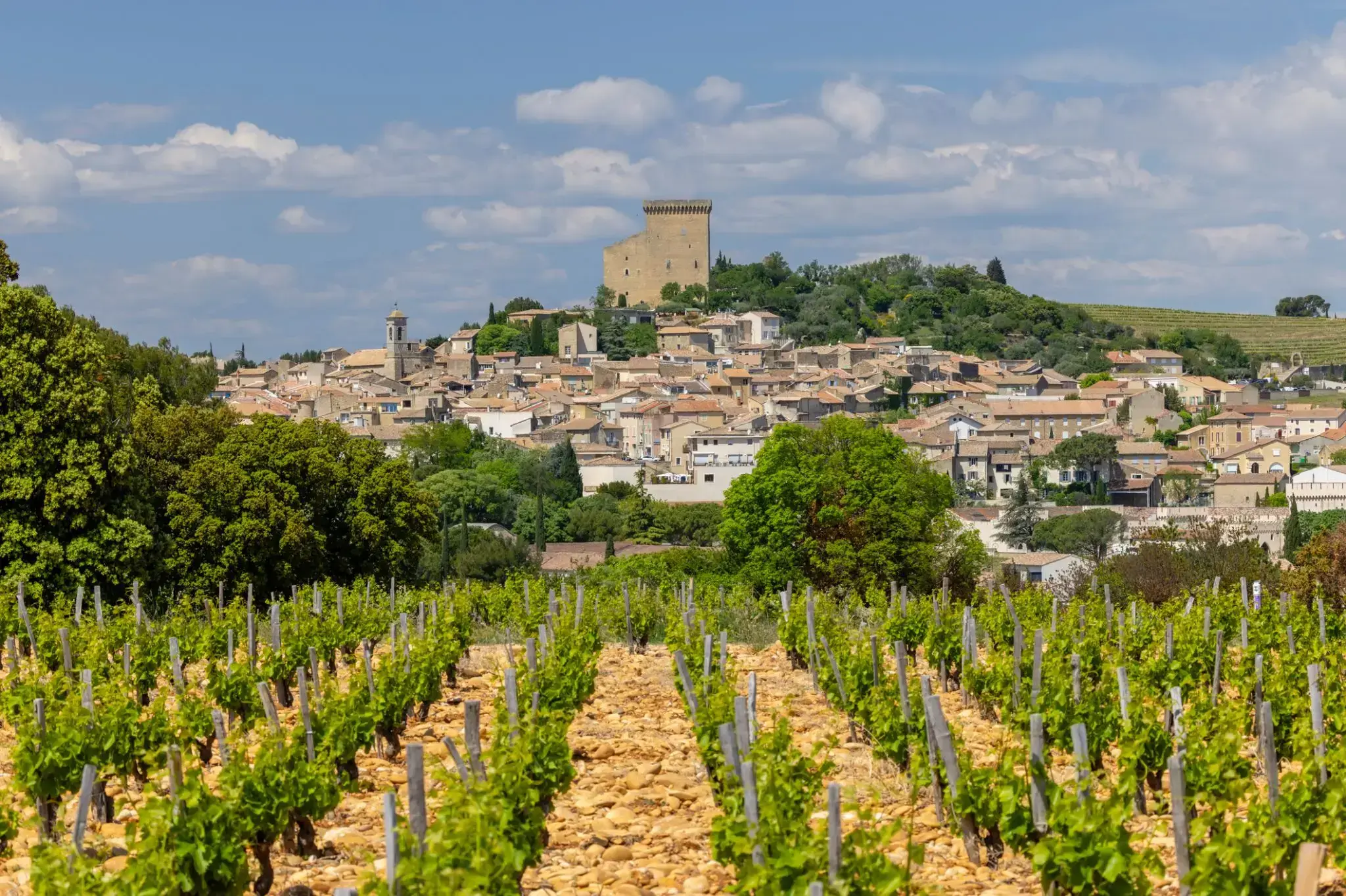 37501_Châteauneuf-du-Pape.webp