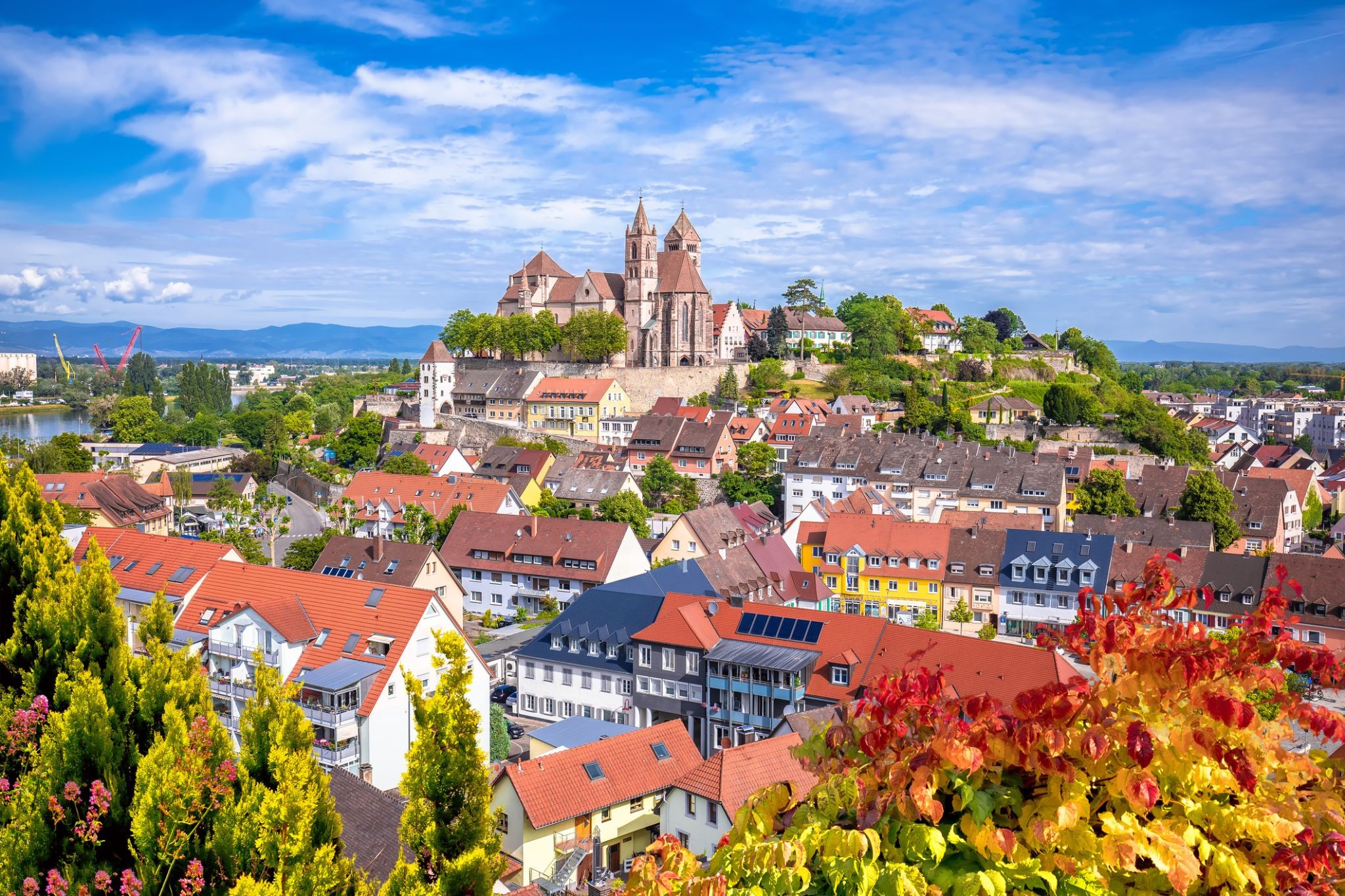 37150_Breisach am Rhein.jpg