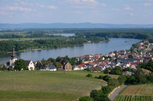 Nierstein / Germany