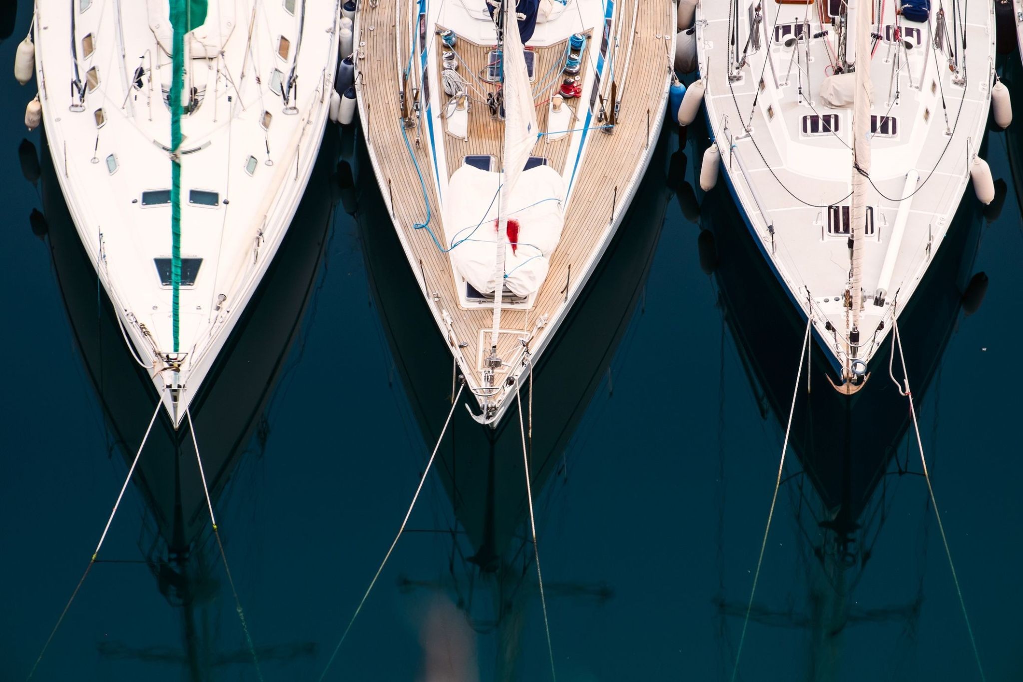 2389569_Gallician.jpg