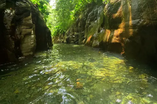Petit-Bourg / Francja