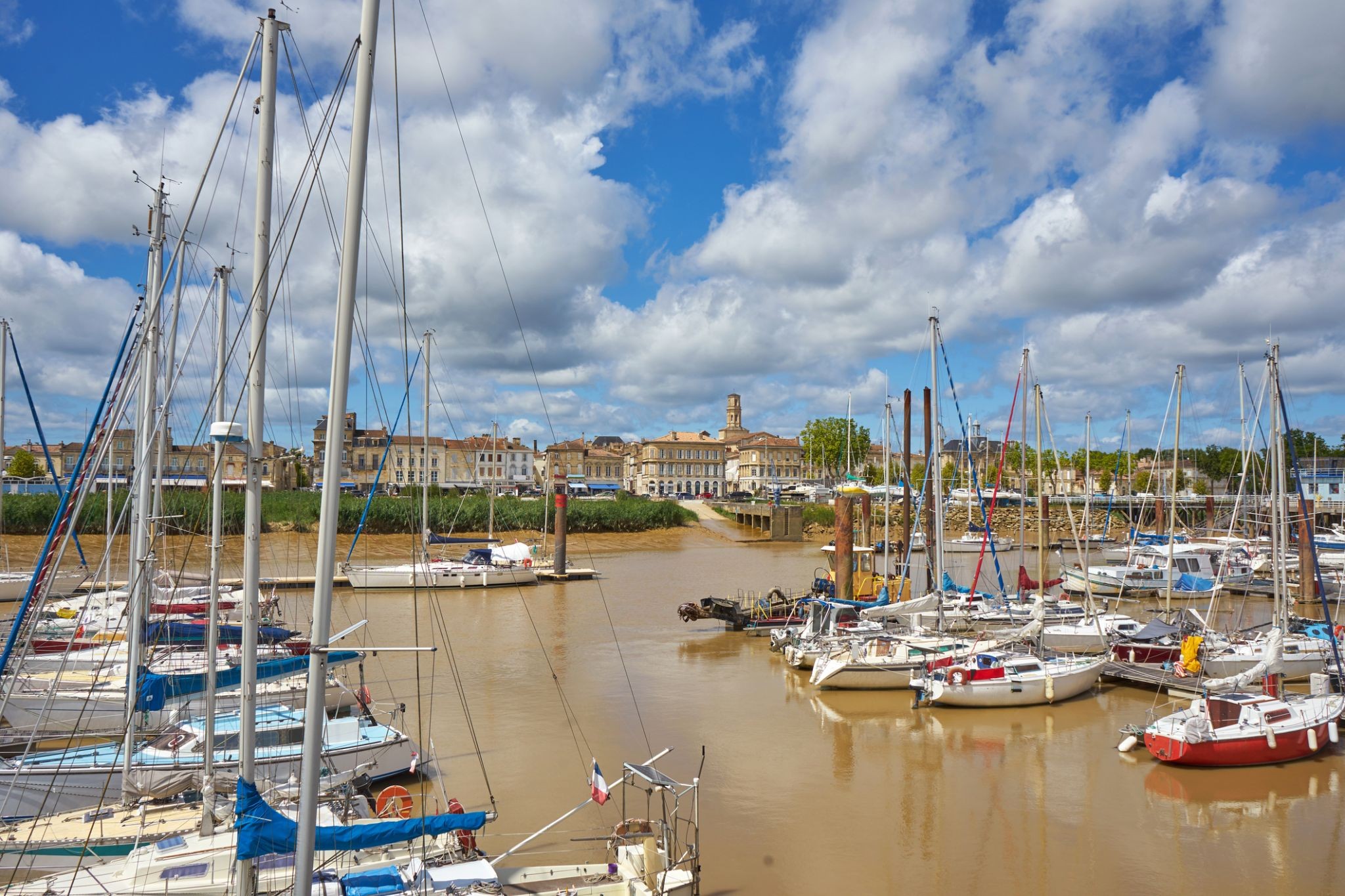 2389996_Pauillac.jpg