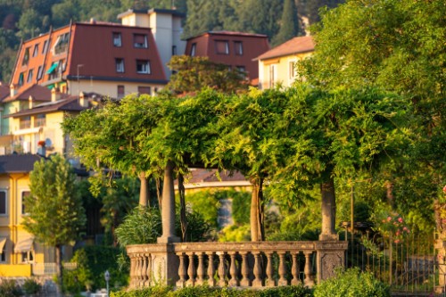 Canda (province of Rovigo) / Italy