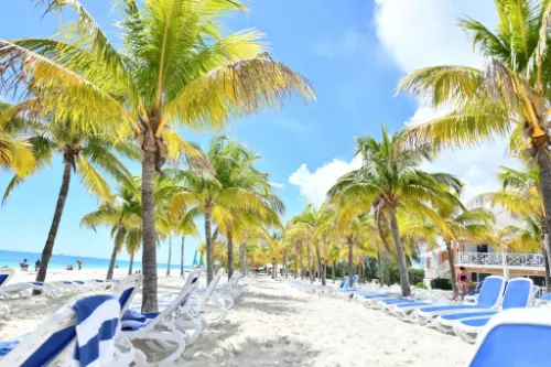 Wielka Bahama / Bahamy