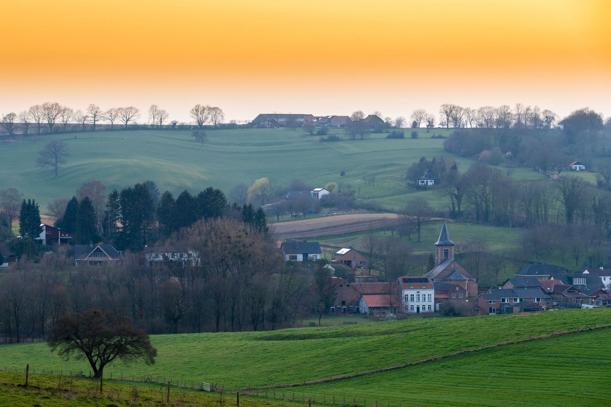 2389532_Alken.jpg