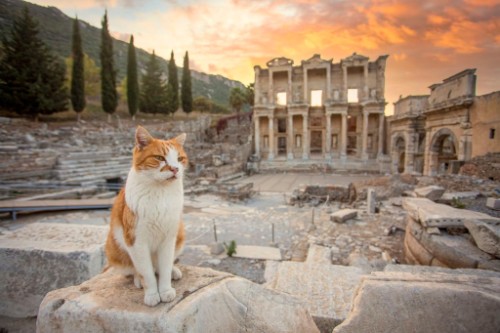 Selcuk / Turkey