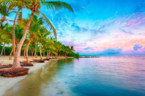 Les Abymes (Guadeloupe) / France