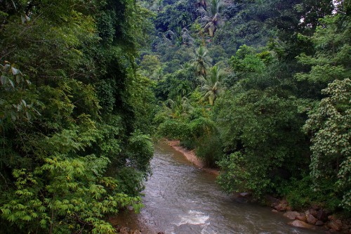 Samana Del Norte / Kolumbia