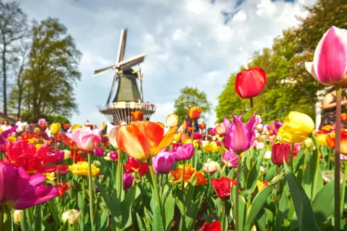 Маршрут круїзу