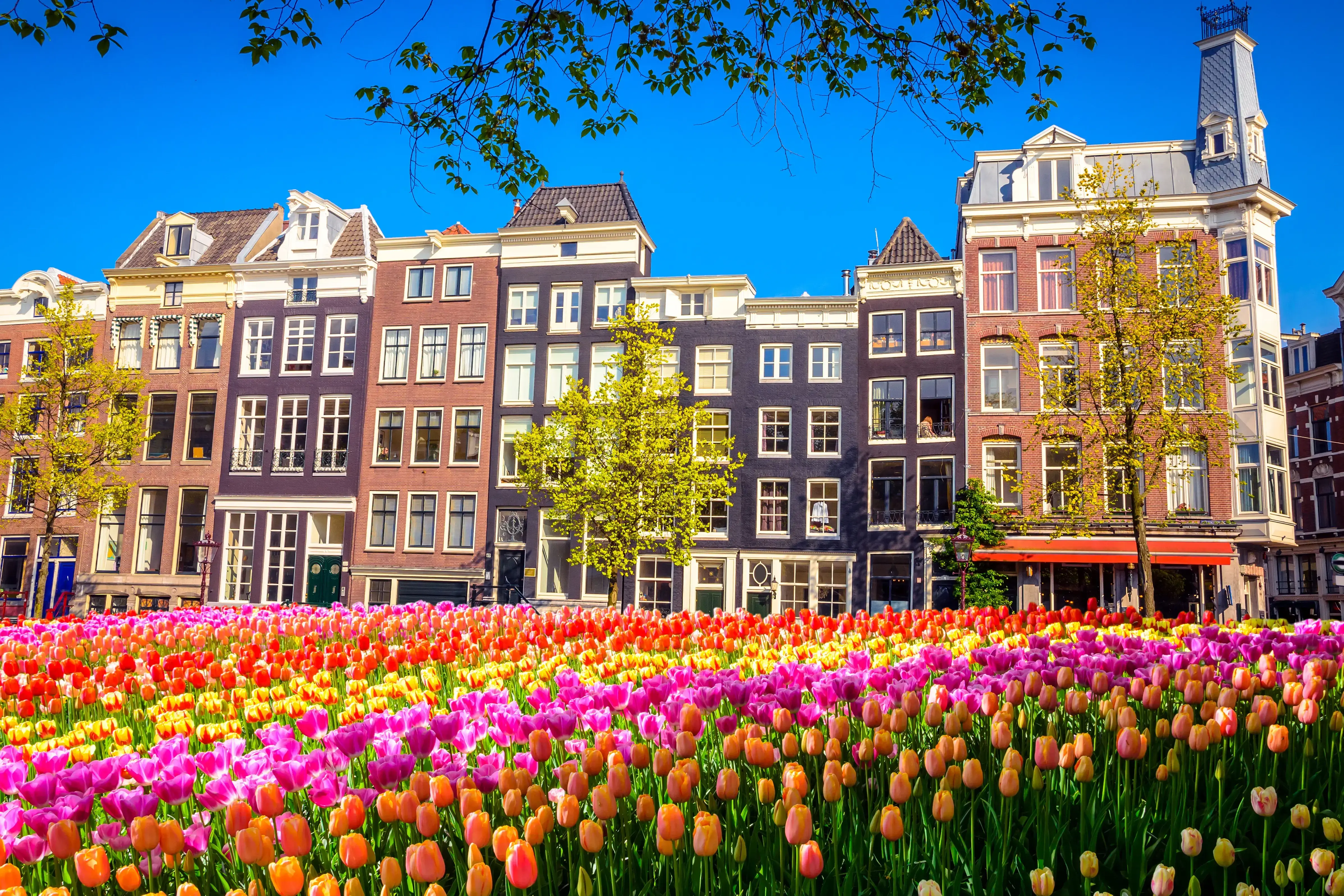 amsterdam-adobestock-183173323.webp