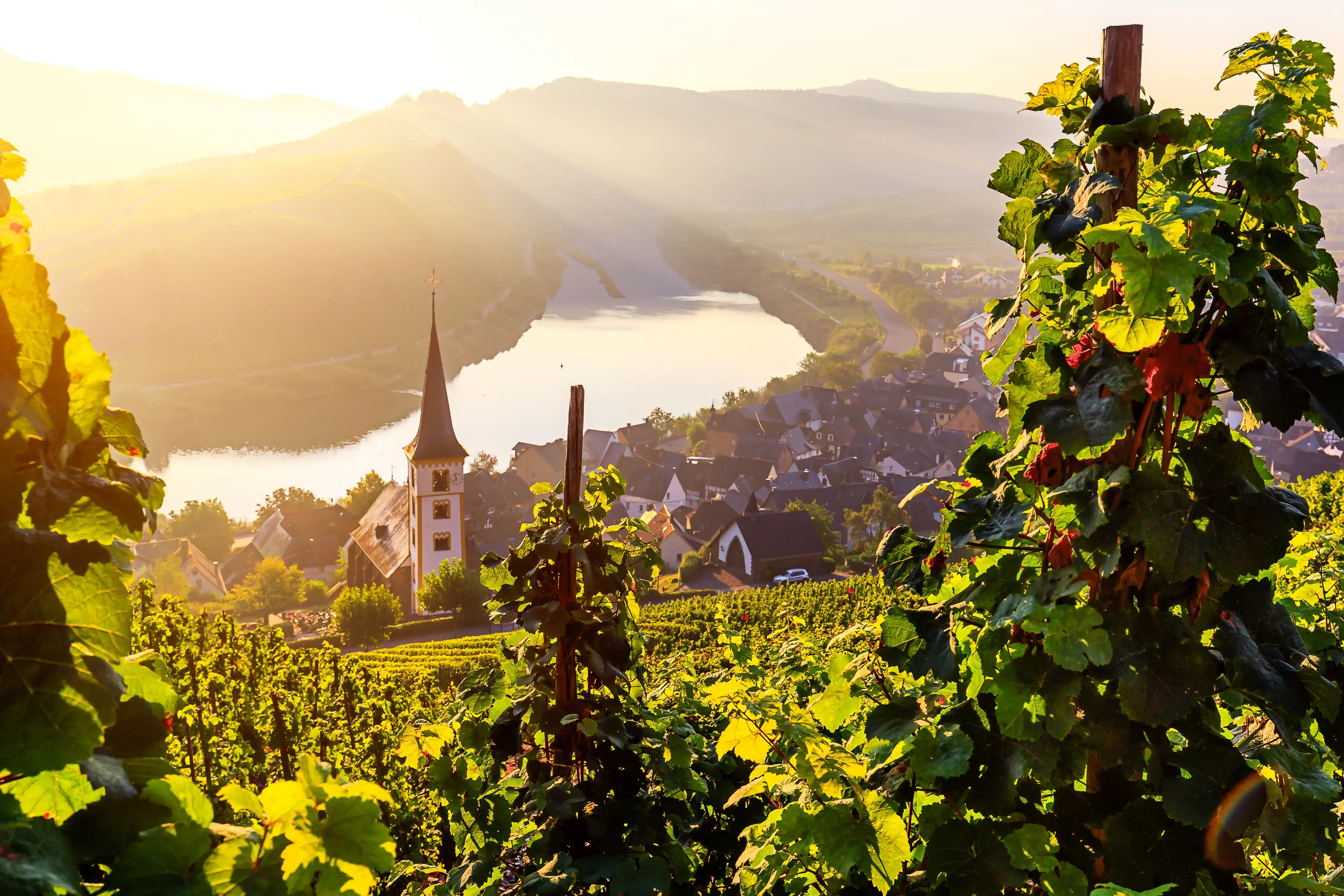 mosel-adobestock-125922797.webp