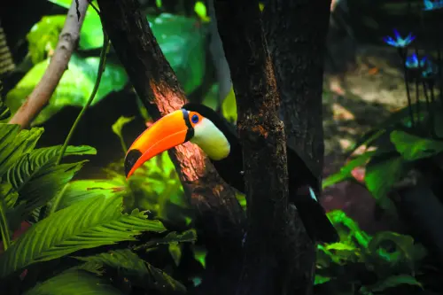 Маршрут круиза