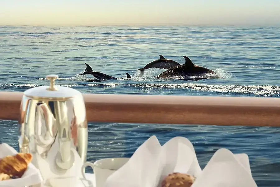 HAPPY DRINK SUMMER 2026