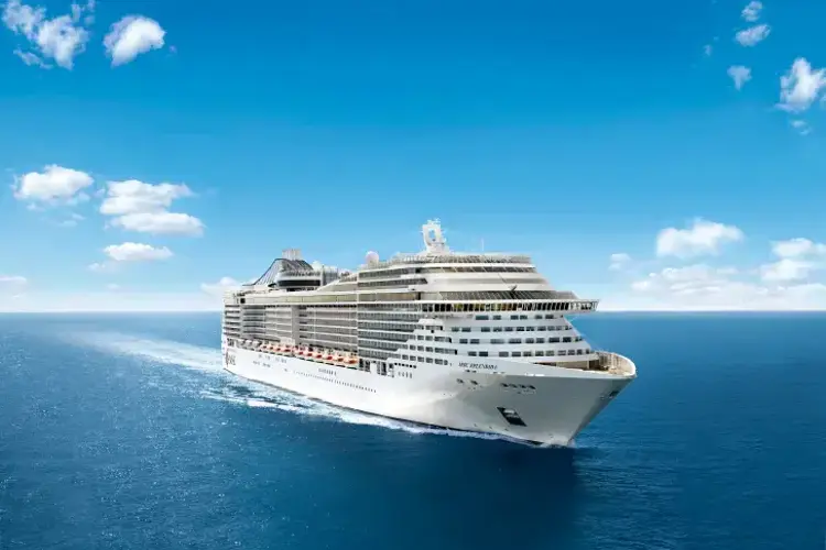 MSC13015955.webp