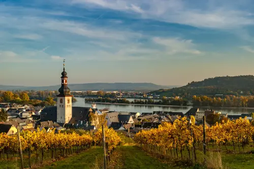 Маршрут круїзу