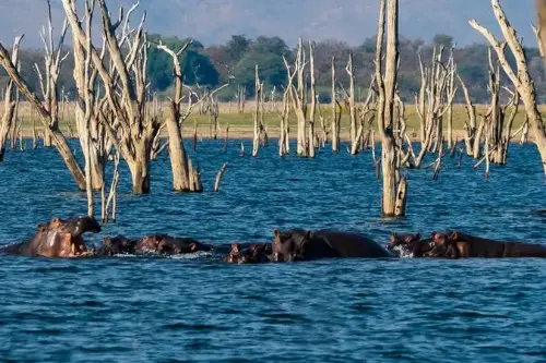 Маршрут круиза