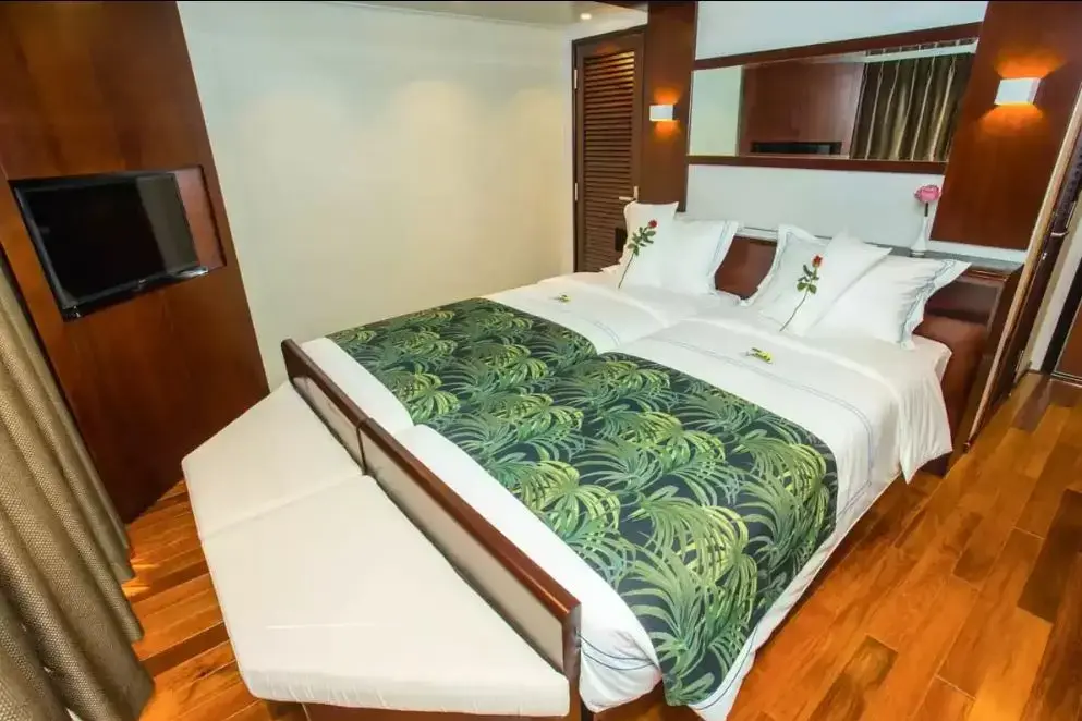 RV Indochine II 1 2cabin.webp