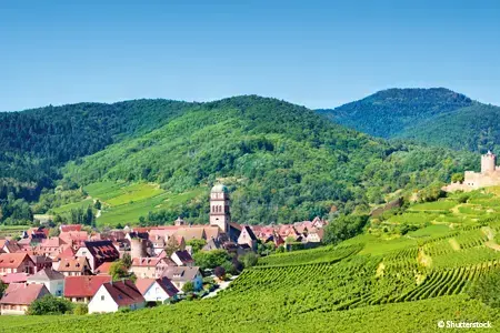 france-rhin-vignoble-alsacien-croisieurope-vignette-sbs-shutterstock